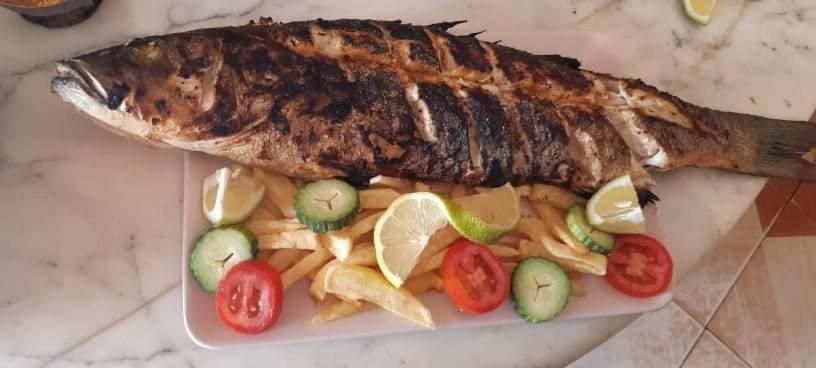 Villalina Haut Standing Djerba Ajim Exteriör bild
